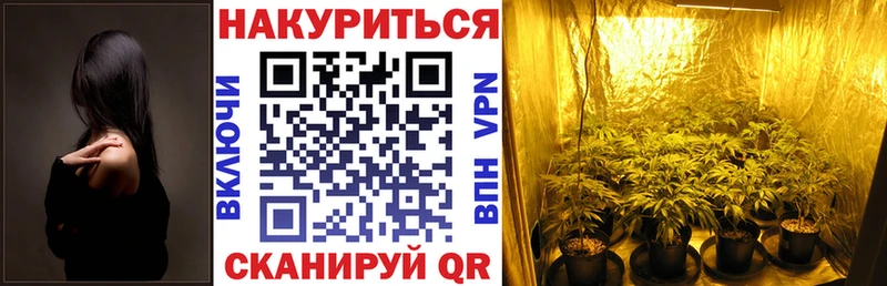 Конопля AK-47  Володарск 